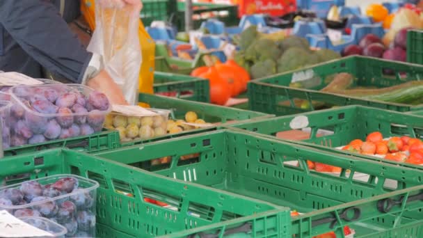 Zielone Pudełka Rynku Zbiorami Warzyw Owoców Kupujący Wybierają Produkt — Wideo stockowe