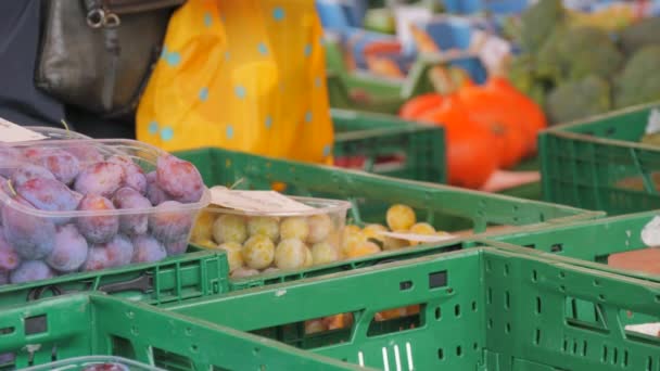 Caixas Verdes Praça Mercado Com Uma Colheita Legumes Frutas Compradores — Vídeo de Stock