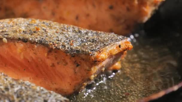 Baharatlı Taze Kırmızı Balık Filetosu Somon Fileto Eti Bir Tavada — Stok video
