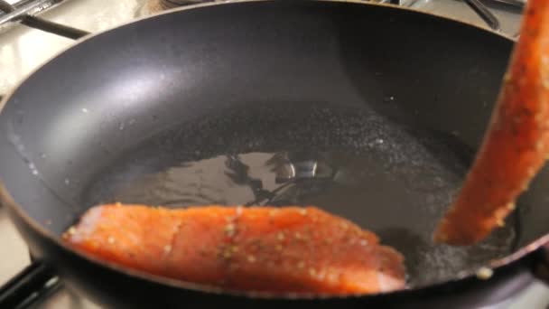 Filet Čerstvých Červených Ryb Kořením Rozložen Pánvi Lososí Filet Maso — Stock video