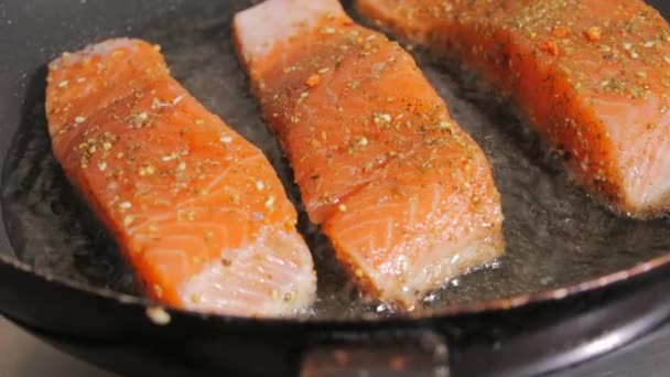Fillet Ikan Merah Segar Dengan Rempah Rempah Daging Fillet Salmon — Stok Video