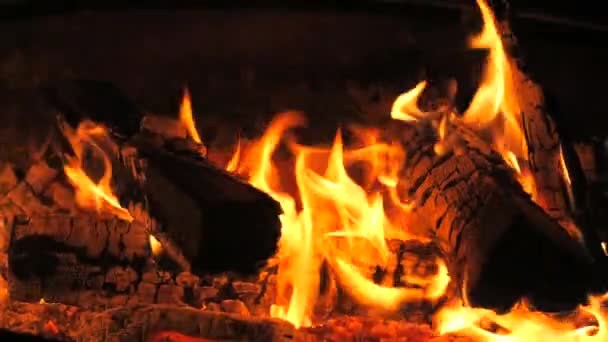 Neuvěřitelně Krásný Plamen Ohně Zpomaleném Filmu Plameny Dřevěné Kládě Noci — Stock video
