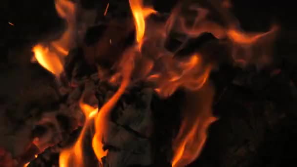 Api Unggun Yang Sangat Indah Dalam Gerakan Lambat Api Unggun — Stok Video