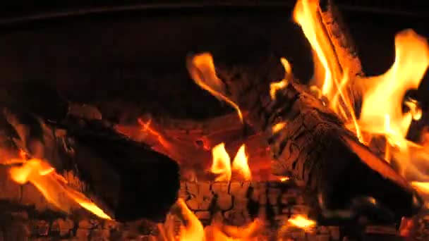 Αργή Κίνηση Βίντεο Από Ένα Κούτσουρο Φωτιά Κορμούς Δέντρων Closeup — Αρχείο Βίντεο