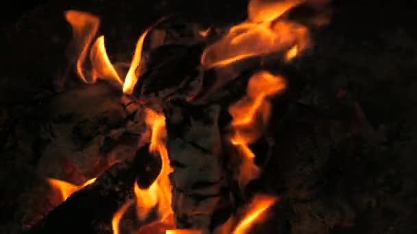 スローモーションで信じられないほど美しい火花の炎 夜の火事で木製のログに火を付ける アクティブライフスタイル ハイキング キャンプのコンセプト スローモーションで燃えるキャンプファイヤー — ストック動画