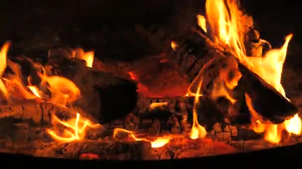 难以置信的美丽篝火火焰慢动作 夜晚篝火中木制圆木上的火焰 积极的生活方式 远足和露营的概念 营火慢速燃烧 — 图库视频影像
