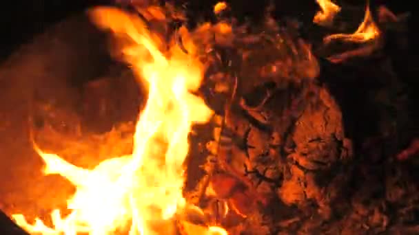 Otroligt Vacker Eldslåga Slow Motion Flammor Trästock Brasa Natten Aktiv — Stockvideo