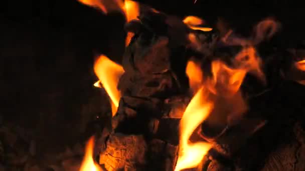 难以置信的美丽篝火火焰慢动作 夜晚篝火中木制圆木上的火焰 积极的生活方式 远足和露营的概念 营火慢速燃烧 — 图库视频影像