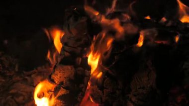 Ağaç gövdeleri ile yavaş çekim bir yangın video yakın çekim yangın ve alevler. Alevler ve yanan kıvılcımlar, yakın çekim, ateş desenleri.
