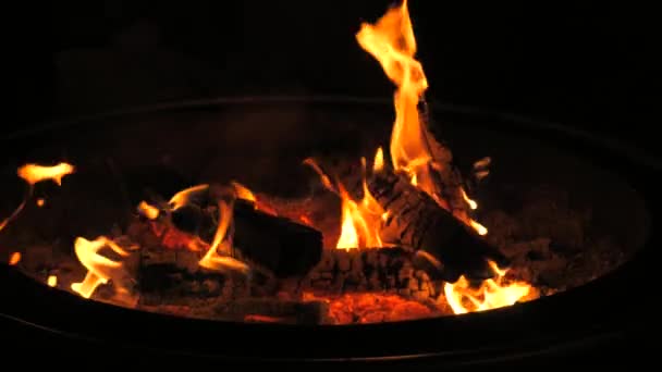Απίστευτα Όμορφη Φλόγα Φωτιάς Αργή Κίνηση Φλόγες Ξύλινο Κούτσουρο Φωτιά — Αρχείο Βίντεο