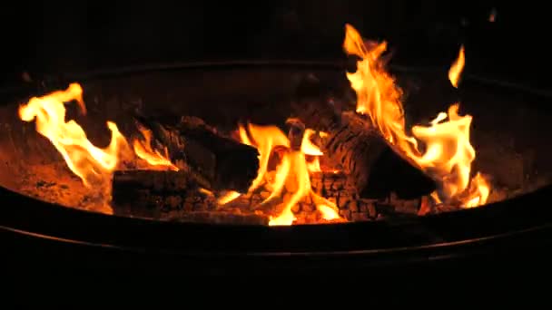 Медленное Движущееся Видео Пожара Стволами Деревьев Подробно Описывает Огонь Пламя — стоковое видео