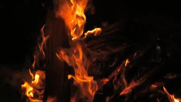 用树干特写的木柴起火的慢镜头详细记录了火势和火势 火焰和燃烧的火花近视 火灾模式 — 图库视频影像
