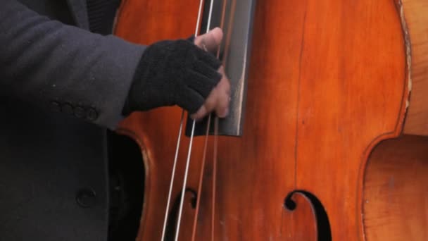 Egy Utcai Zenész Keze Aki Egy Nagybőgő Húrjait Játssza Lassított — Stock videók