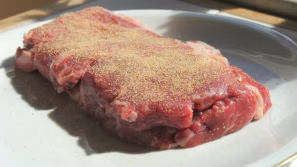 Trozo Filete Carne Fresca Frota Con Especias Sal Pimienta Ajo — Vídeos de Stock