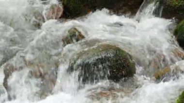 A fast clean spring mountain river stream runs through huge stones covered with green moss.