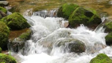 A fast clean spring mountain river stream runs through huge stones covered with green moss.
