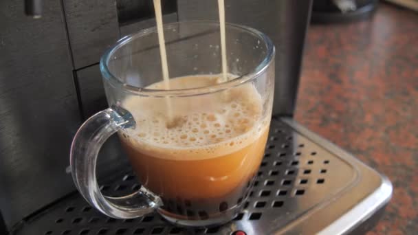 Kahve Makinesinden Şeffaf Bir Fincana Koyu Kahve Dökülür — Stok video