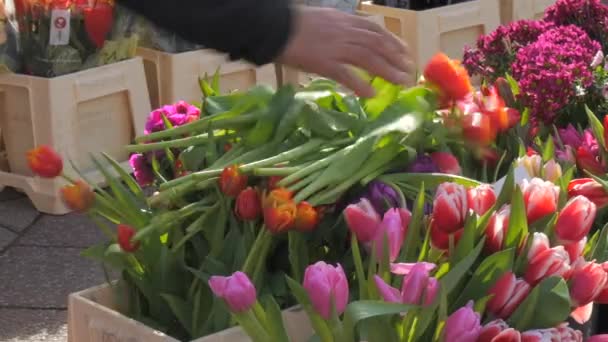 2024年2月16日 Kehl Germany 新鮮なマルチカラーとさまざまなバラとチューリップと花の花がオープンマーケットで販売されています ハンドは花束でチューリップの束を取る — ストック動画