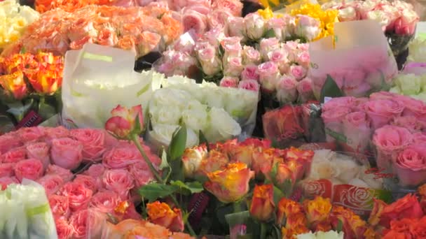 Febrero 2024 Kehl Alemania Rosas Frescas Multicolores Diversas Otras Flores — Vídeo de stock