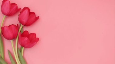 Paskalya Hareketi animasyonu. Çeşitli Paskalya yumurtaları pembe tonlarda pembe mercan arka planında hasır bir sepetin içinde güzel kırmızı lalelerin yanında hareket eder..