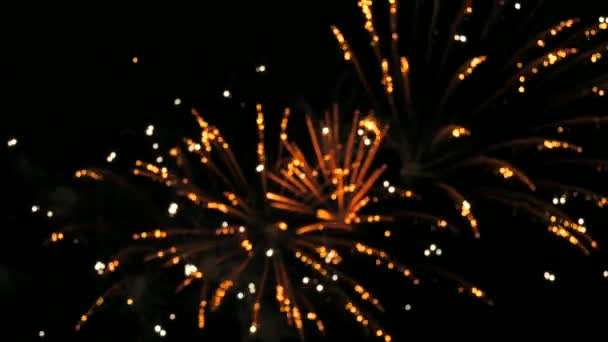 Ağır Çekim Kara Gece Gökyüzünde Havai Fişekleri Bulanıklaştırdı Kutlama Selamı — Stok video