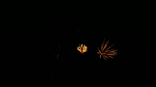 Медленный Фейерверк Черном Ночном Небе Праздничный Салют — стоковое видео
