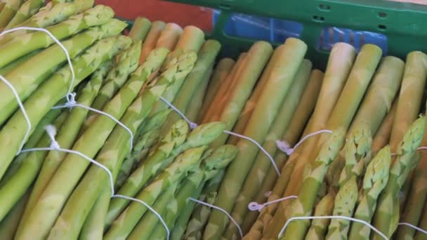 Kehl Germany April 2024 Green Fresh Spring Asparagus Farmers Market — стоковое видео