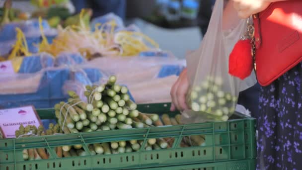 Kehl Duitsland April 2024 Verse Groenten Fruit Een Lokale Boerenmarkt — Stockvideo