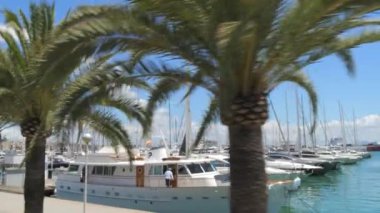 2 Temmuz 2024 - Palma de Mallorca, Majorca: Limandaki pek çok yat ve geminin gezinti güvertesinden görüntü. Ağır çekimde setin üzerinde bir sıra palmiye ağacı..