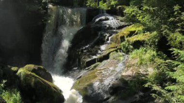 Triberg, Almanya 'daki Kara Orman' ın en yüksek şelalesi. Dağ suyunun yavaş düşüşü. Dağlık bir yerde yeşil yosunlarla kaplı büyük kayalık taşlar..