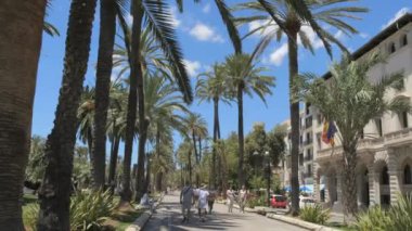 2 Temmuz 2024 - Palma de Mallorca, Mallorca: Palma şehrinde büyük mimari ve turistlerin bulunduğu rahat bir cadde. Güzel palmiye ağaçları
