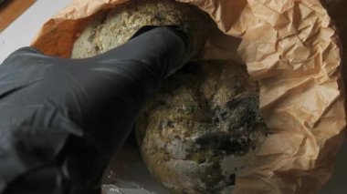 Siyah eldiven giyen ve elinde ağır küflü ekmek rulosu olan birinin yakın plan fotoğrafı. Ekmek yeşil beyaz ve siyah küf ile kaplanmış. Arka planda ileri derecede çürümüş kağıt bir torba var.
