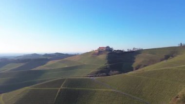 Alman kırsalındaki yumuşak tepeler boyunca uzanan geniş üzüm bağlarını gösteren büyüleyici insansız hava aracı görüntüleri. Manzara özenle düzenlenmiş asma sıralarını, dolambaçlı kırsal yolları ve ormanları içeriyor.