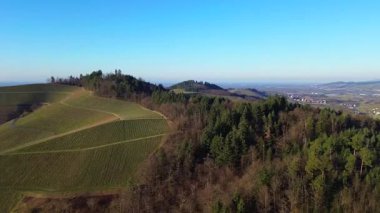 Alman kırsalındaki yuvarlanan tepelere yayılmış geniş üzüm bağlarını yakalayan güzel bir hava aracı görüntüsü. Manzarada iyi organize edilmiş asma sıraları, dolambaçlı yollar ve ormanlı dağlar yer almaktadır.