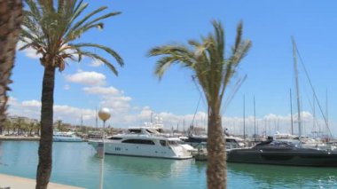 Mallorca, İspanya - 4 Temmuz 2024 Güneşli bir günde Görkemli Palmiye Ağaçları Altında Gezinirken yüksek kaliteli görüntüleri, parlak bir palmiye ağacının altında sallanan, limana demirlemiş zarif yatları yakalar.