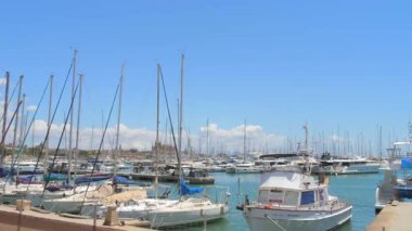 Mallorca, İspanya - 4 Temmuz 2024 Güneşli bir günde Görkemli Palmiye Ağaçları Altında Gezinirken yüksek kaliteli görüntüleri, parlak bir palmiye ağacının altında sallanan, limana demirlemiş zarif yatları yakalar.