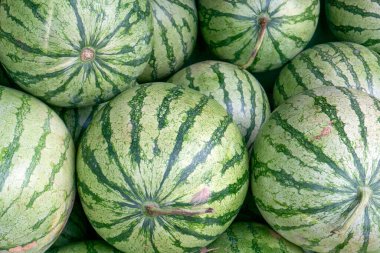 Süpermarkette raflarda taze karpuzlar