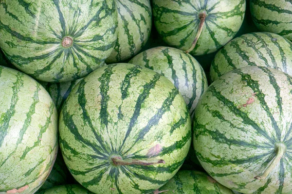 Süpermarkette raflarda taze karpuzlar