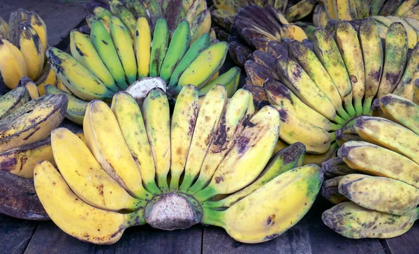 Färska Bananer Den Traditionella Marknaden Yogyakarta Indonesien Stockbild