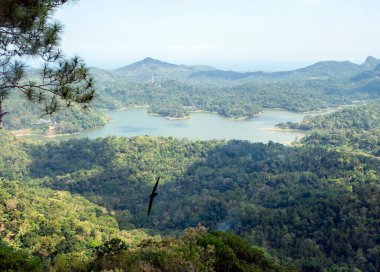 Kalibiru, Kulon Progo bölgesinin en popüler turizm beldesi, Yogyakarta, Endonezya