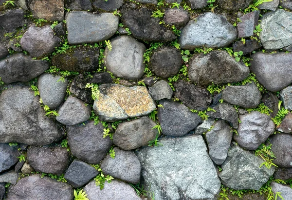 Doğal Arkaplan Duvar Kâğıdı Için Taş Duvarlardaki Yeşil Çimenler — Stok fotoğraf