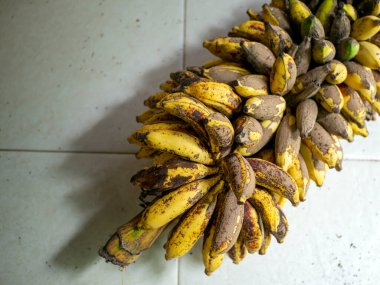 Sağlıksız, benekli, beyaz zeminde olgun muzlar.