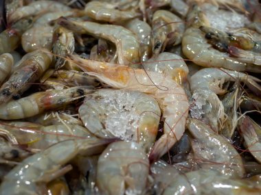 Udang, Endonezya Yogyakarta 'daki süpermarkette buzda taze karides.