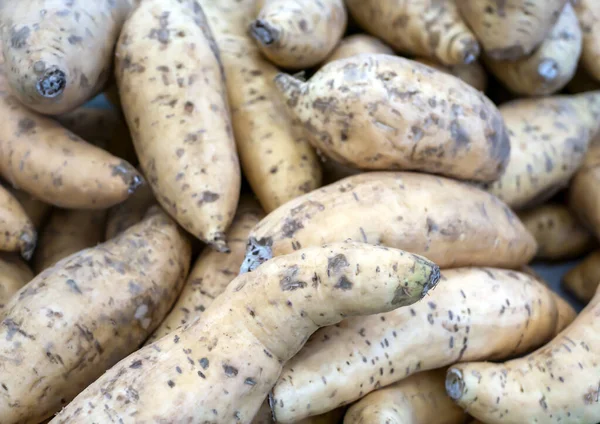 Yogyakarta, Endonezya 'daki süpermarkette bir yığın tatlı patates, Ipomoea batata.