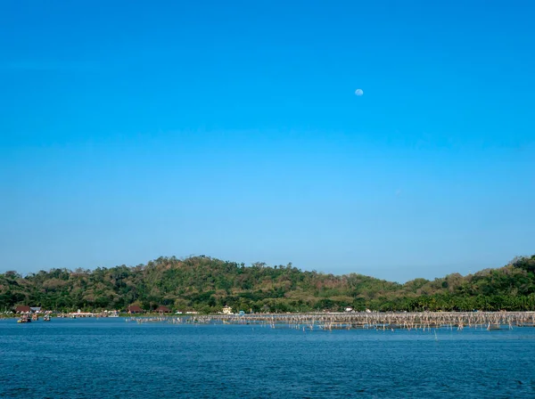 Uno Scenario Naturale Nel Lago Rowo Jombor Klaten Indonesia — Foto Stock