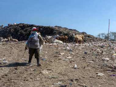 Yogyakarta, Endonezya - 16 Ağustos 2023: Çöplükte çöp toplayıcısı, çöp öğütücüye çöp dök, TPS Piyungan, Yogyakarta, Endonezya