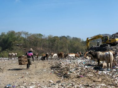 Yogyakarta, Endonezya - 16 Ağustos 2023: Çöpçüler çöp sahalarına, çöp öğütücüye, TPS Piyungan, Yogyakarta, Endonezya