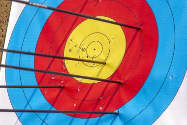 Okçuluk hedefine çok sayıda ok isabet ediyor..