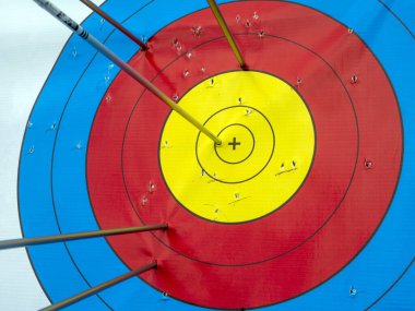 Okçuluk hedefine çok sayıda ok isabet ediyor..