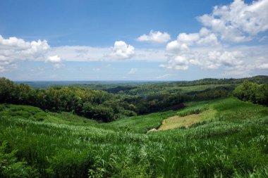 Kulon Progo, Yogyakarta, Endonezya 'daki güzel yeşil vadi. Kırsal manzara arkaplanı.